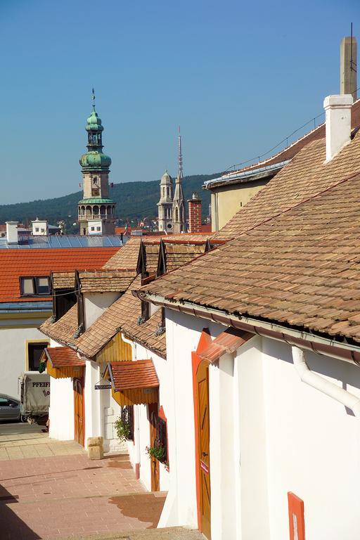 Vinosseum Bor- Es Apartmanhaz Sopron Dış mekan fotoğraf